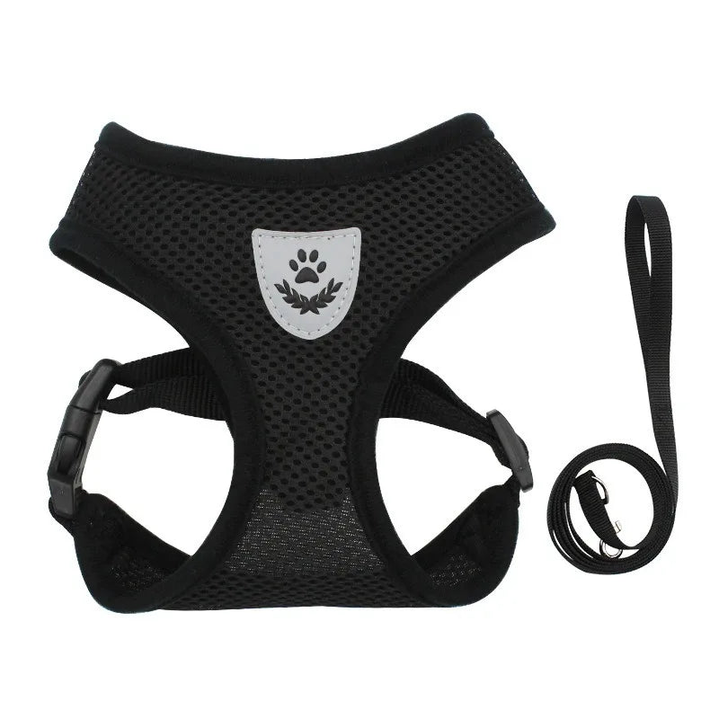 Cat Harness and Leash