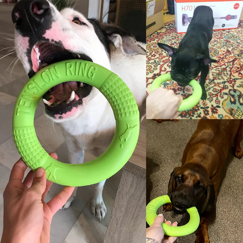 Dog Training Ring – Rubber Flying Disc Toy