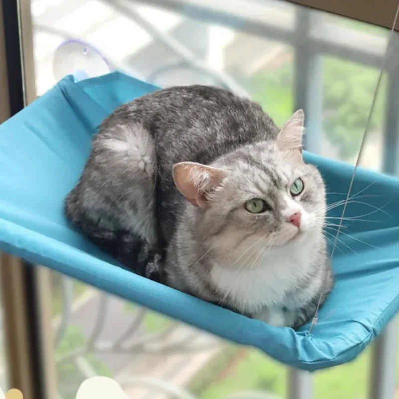 20kg Capacity Cat Hammock with Rock Climbing Frame Comfortable Sunny Window Seat Hanging Pet Bed for Kittens New Pet Supplies