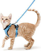Cat Harness and Leash – Soft Adjustable Vest for Walking
