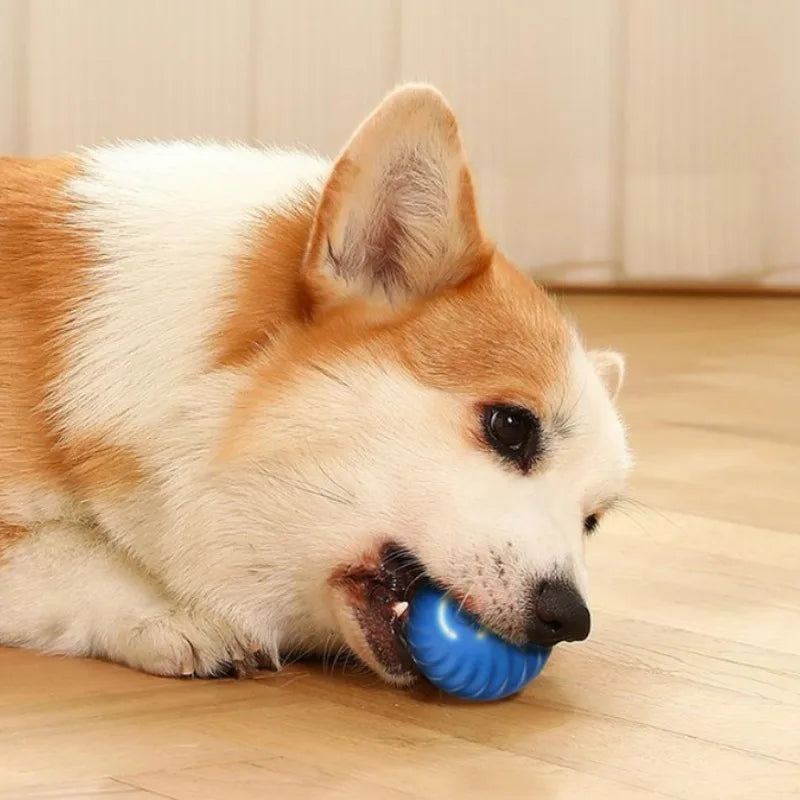 Interactive Dog Toy – Automatic Moving USB Ball for Dogs