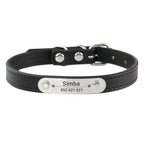 Personalized Dog Collar – Engraved Leather Pet ID Collar