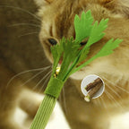 2Pcs Silver Vine Cat Toy, Interactive Chew & Teeth Cleaning Toy