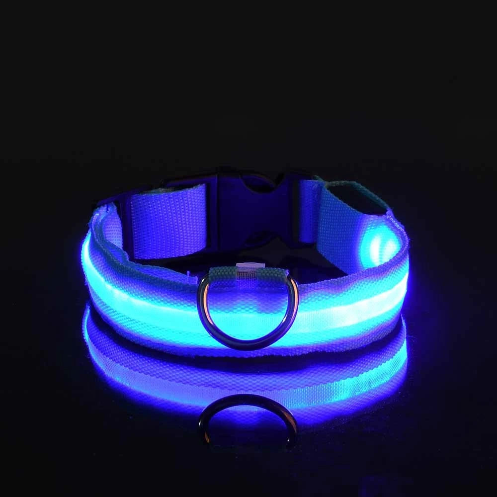 LED Dog Leash, Light-Up Nylon Safety Leash for Night Walking