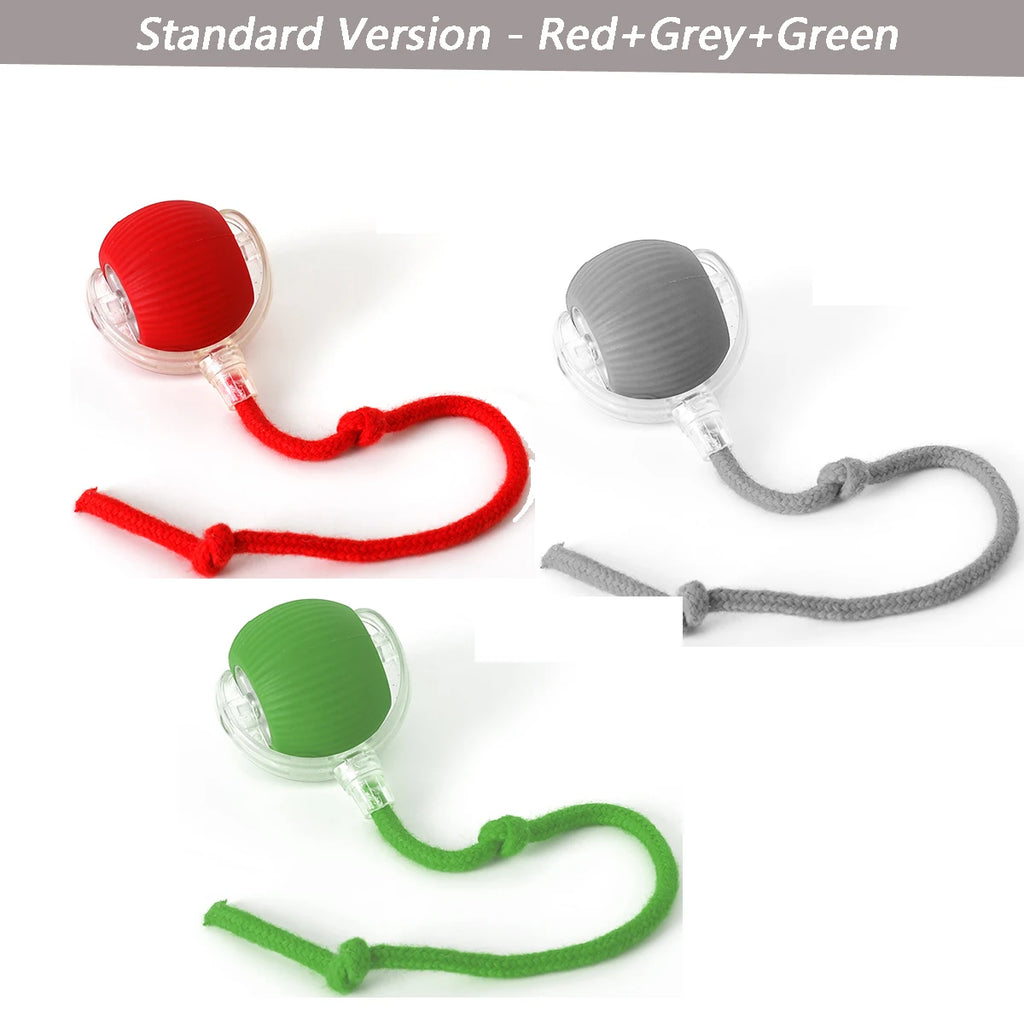 Rolling Ball Dog Toy – Rechargeable Play Ball for Dogs & Cats
