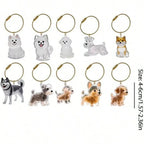 Adorable Cat Hair Storage Pendant Keychain Transparent Cat/Dog Hair Storage Container for Pet Lover DIY Pet Memorial Keychain