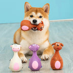 Dog Squeaky Chew Toy – Rubber Dental Toy for Dogs