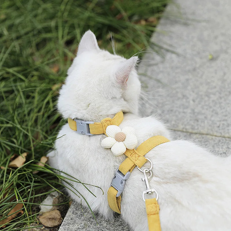 Cat Harness and Leash Set – Adjustable Small Pet Walking Harness