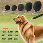 Long Dog Training Leash – Nylon Lead for Outdoor Walking