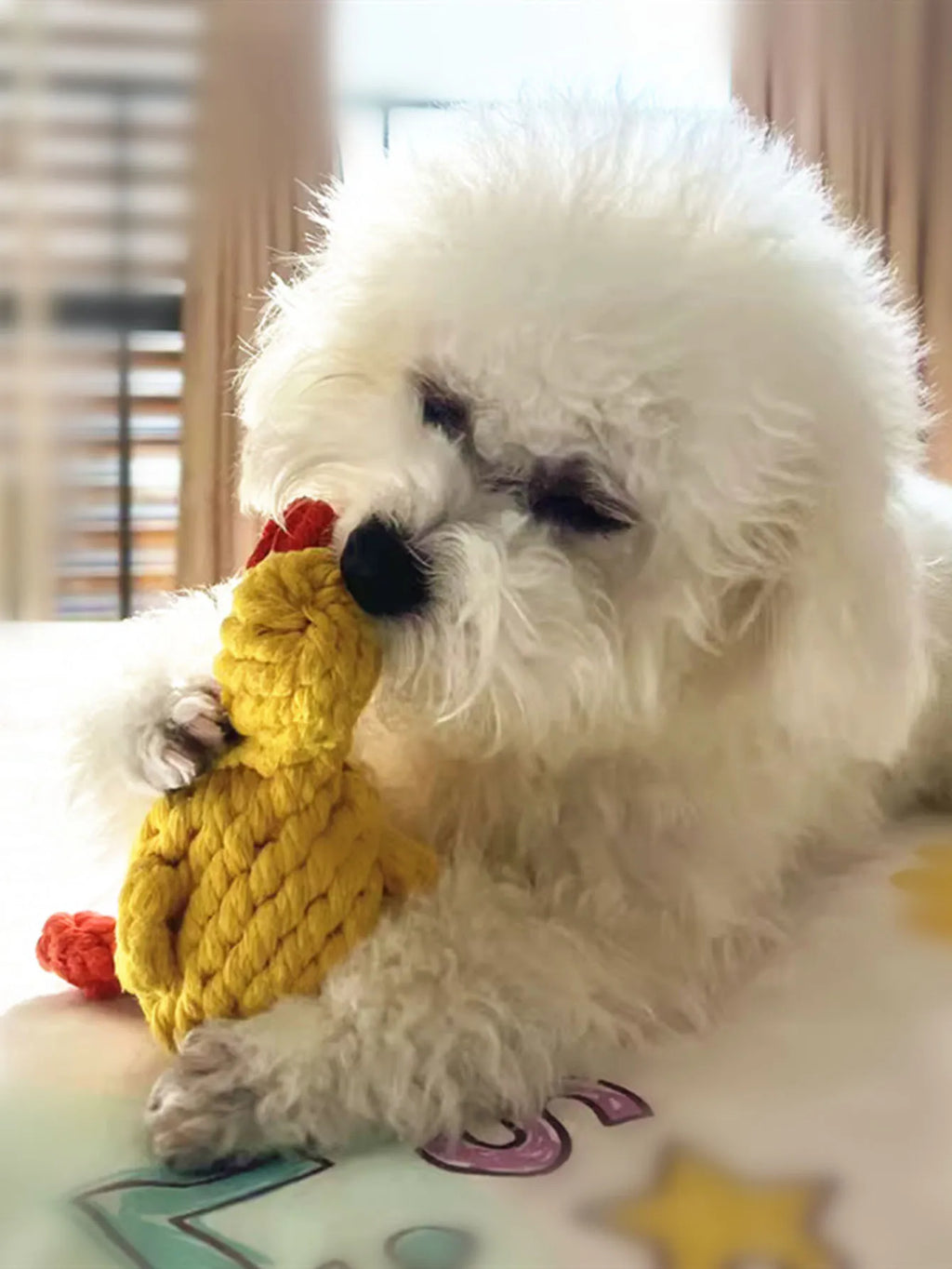 Rope Dog Toy, Knotted Chew Toy for Small & Medium Dogs