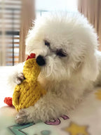 Rope Dog Toy, Knotted Chew Toy for Small & Medium Dogs