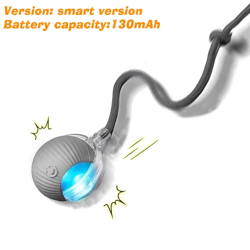 Automatic Dog Ball – Rechargeable Interactive Rolling Toy