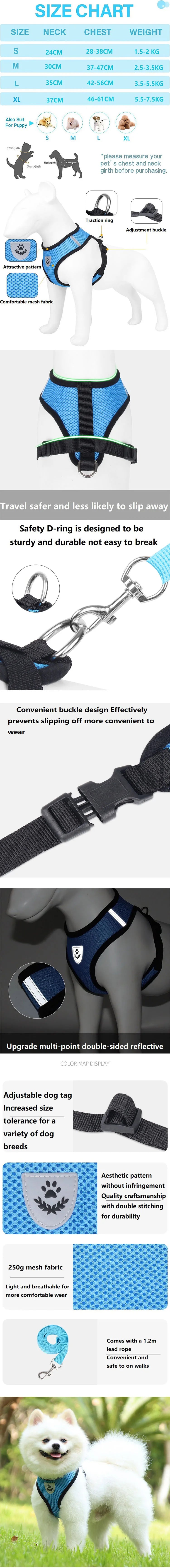 Cat Harness and Leash