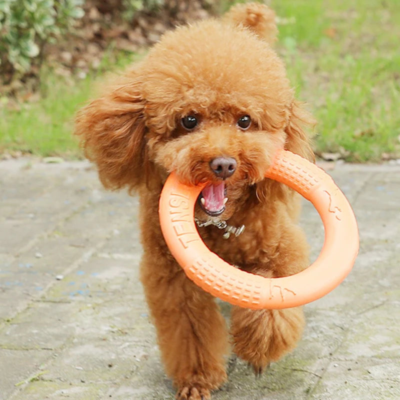 Flying Disc Dog Toy – EVA Interactive Training Ring