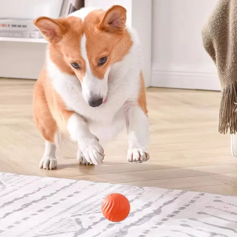 Interactive Dog Toy – Automatic Moving USB Ball for Dogs