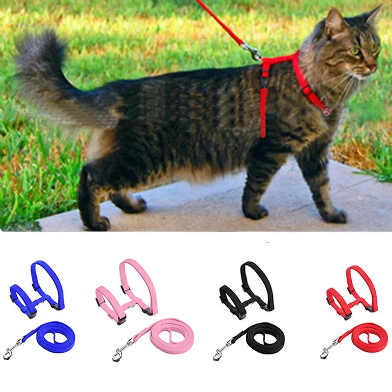 Adjustable Cat Collar – Cozy Nylon Breakaway Collar