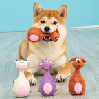Dog Squeaky Chew Toy – Rubber Dental Toy for Dogs