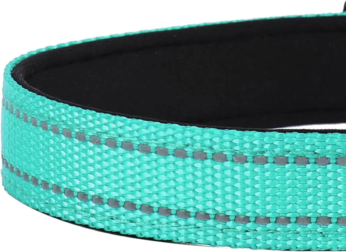 Adjustable Dog Collar, Soft Padded Nylon Collar with Buckle