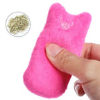Catnip Cat Toy Plush Interactive Chew Toy for Kittens and Adult Cats