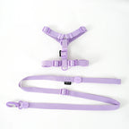 Dog Harness and Leash Set