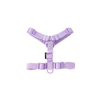 Dog Harness and Leash Set