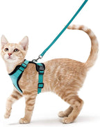 Cat Harness and Leash – Soft Adjustable Vest for Walking