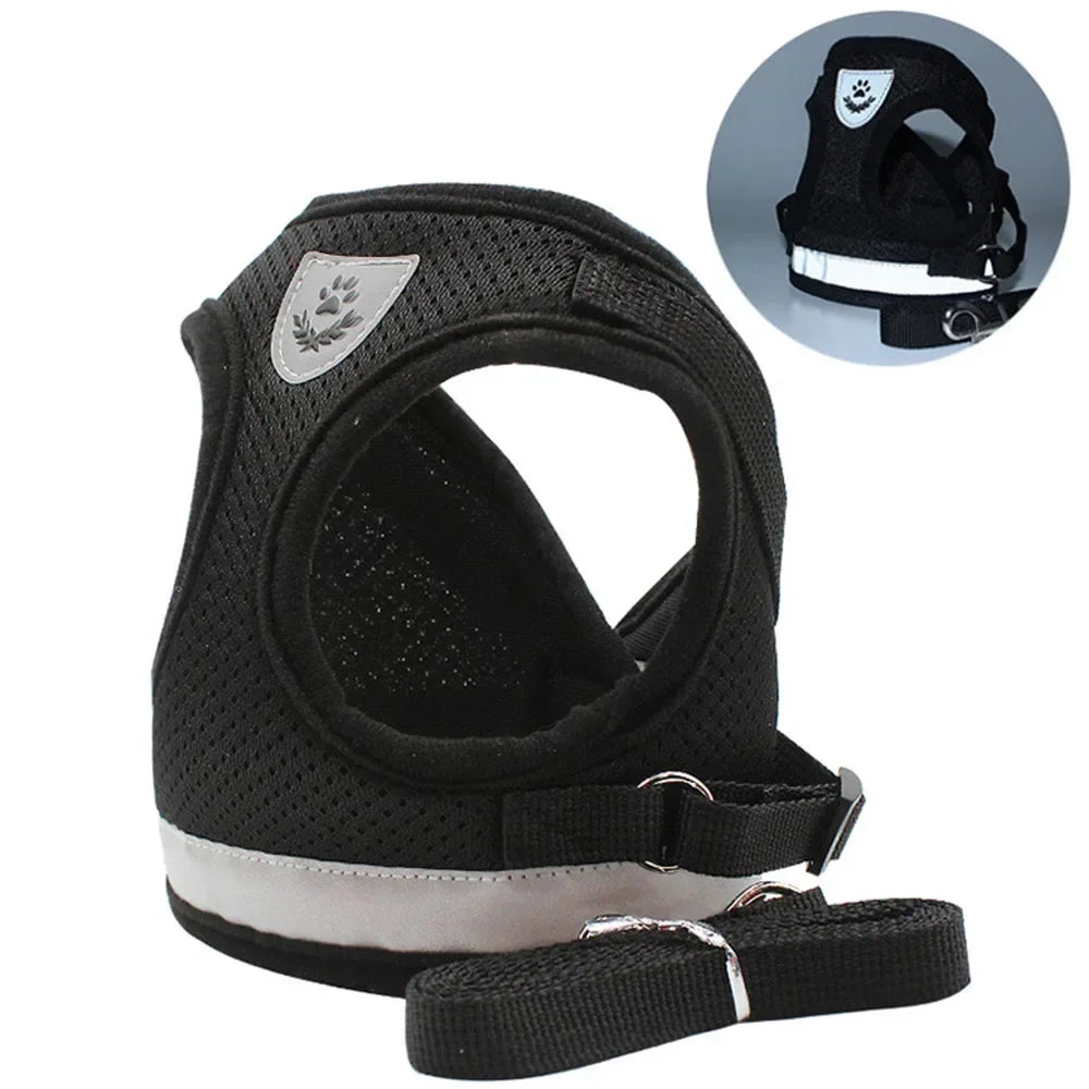 Cat Harness and Leash Set