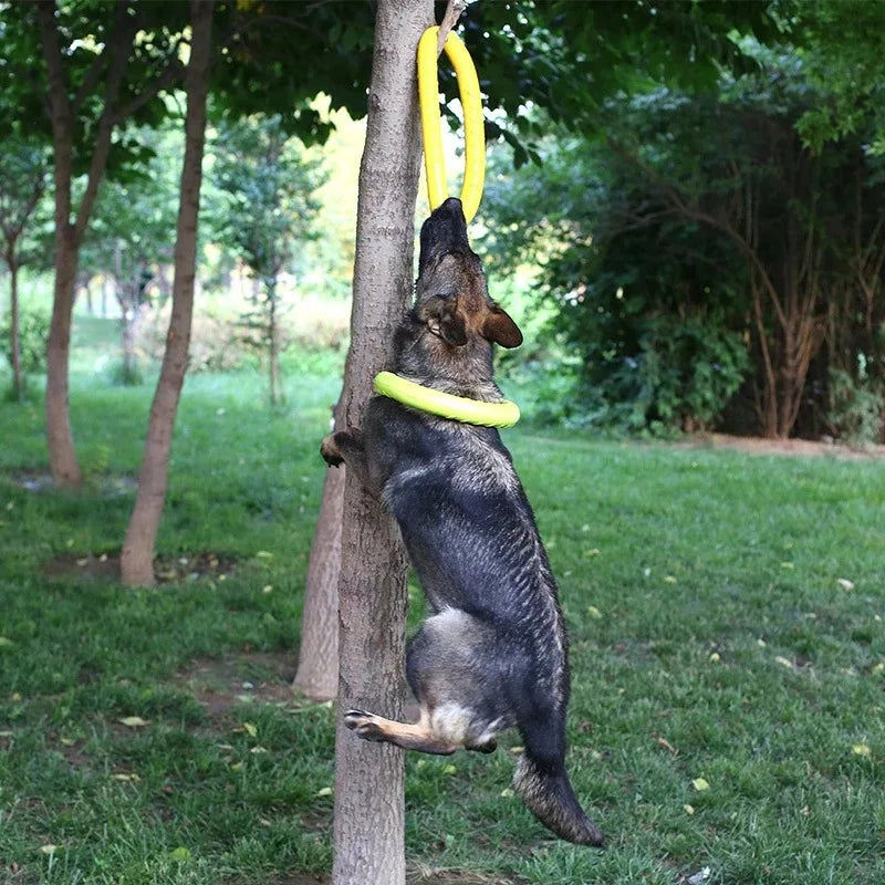 Dog Training Ring – Rubber Flying Disc Toy