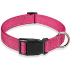 Reflective Dog Collar – Adjustable Nylon Safety Collar with Buckle