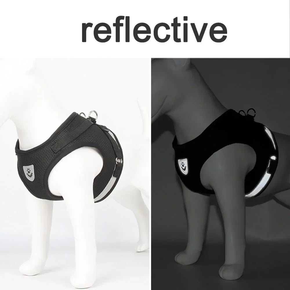 Cat Harness and Leash Set