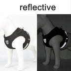 Cat Harness and Leash Set – Adjustable Reflective Mesh Vest