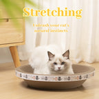 Corrugated Cat Scratching Post with Catnip & Lounge Bed