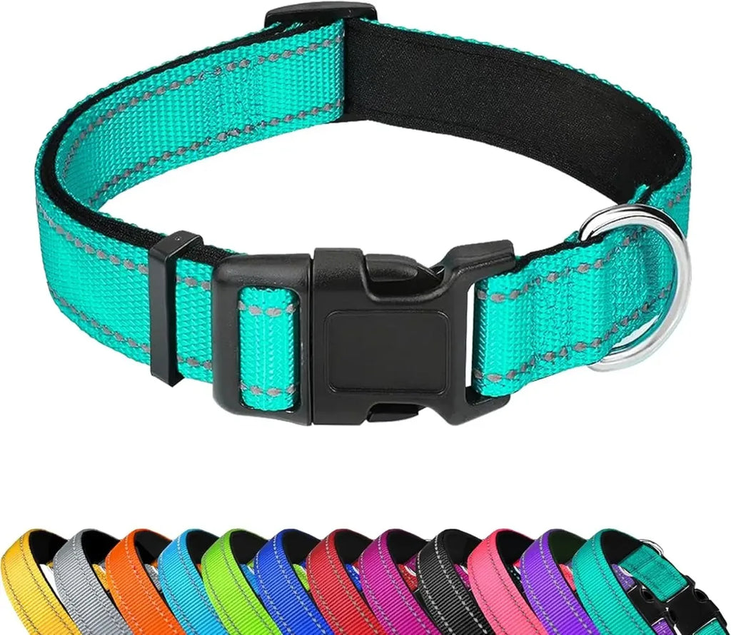 Adjustable Dog Collar, Soft Padded Nylon Collar with Buckle