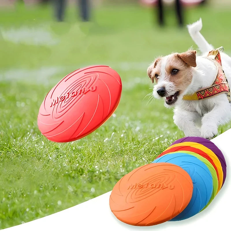 Dog Flying Disc – TPR Interactive Fetch Toy for Outdoor Play