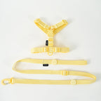 Dog Harness and Leash Set
