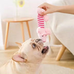 Catnip Cat Toy Plush Interactive Chew Toy for Kittens and Adult Cats