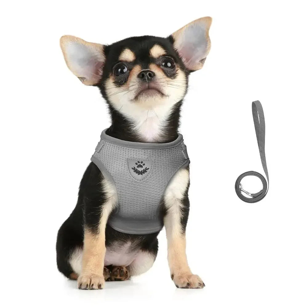 Cat Harness and Leash Set