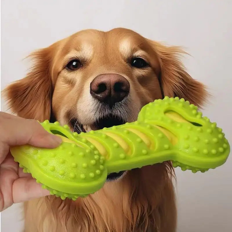 Dog Chew Toy Rubber Bone Squeaky Puppy Interactive Toy for Playtime
