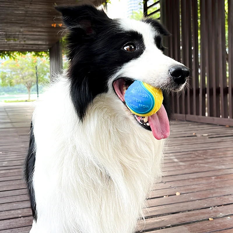 Squeaky Dog Ball – Interactive TPR Teeth Cleaning Toy