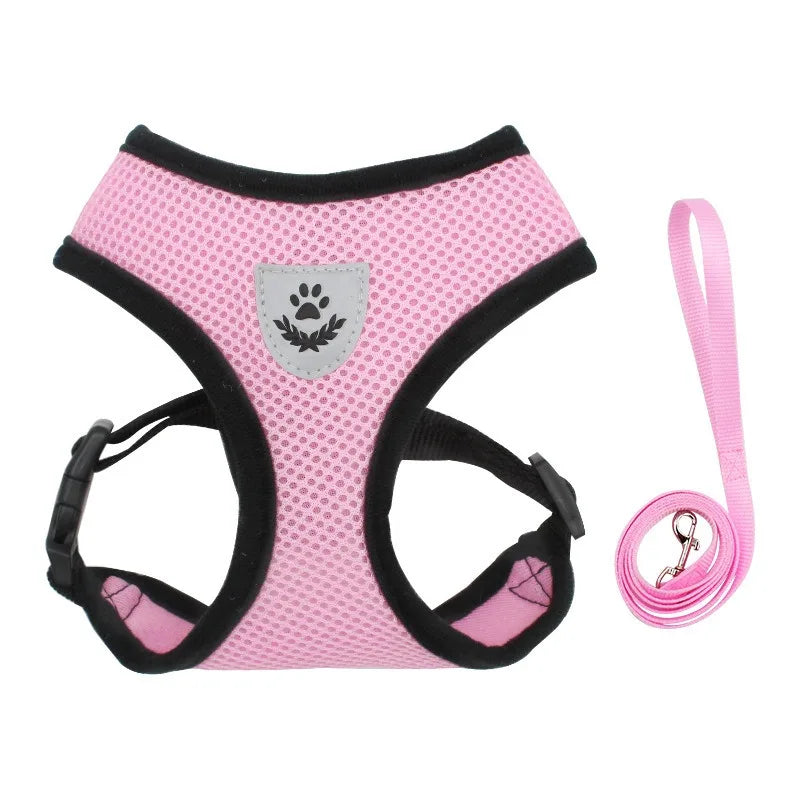 Cat Harness and Leash