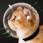 Cat Muzzle – Breathable Transparent Muzzle for Grooming