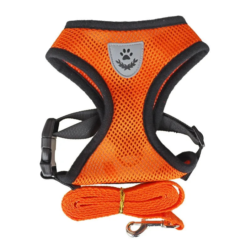Cat Harness and Leash