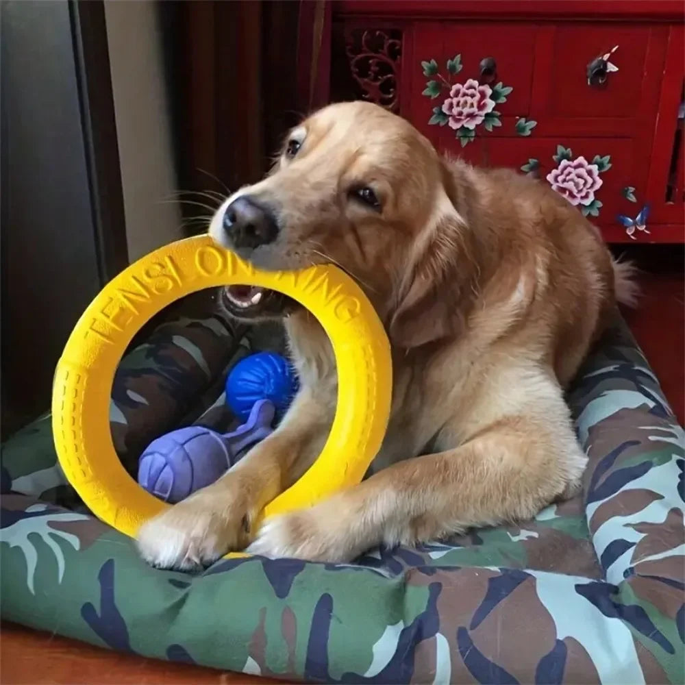 Dog Pull Ring Toy, Interactive EVA Training & Floating Toy