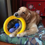 Dog Pull Ring Toy, Interactive EVA Training & Floating Toy