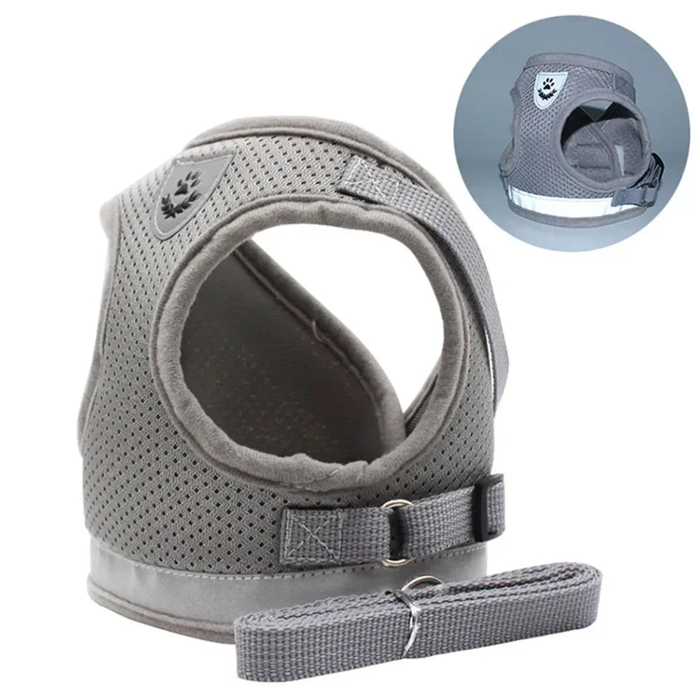 Cat Harness and Leash Set