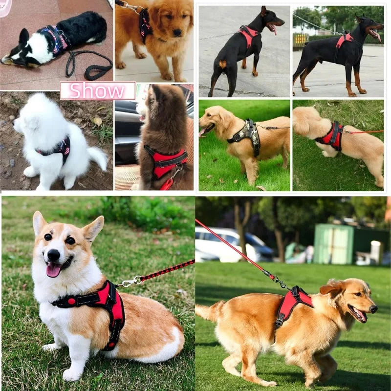 Dog Harness – Reflective Padded Nylon Vest with Quick Release