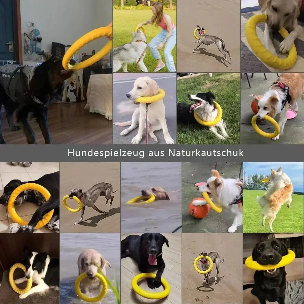 Dog Pull Ring Toy, Interactive EVA Training & Floating Toy