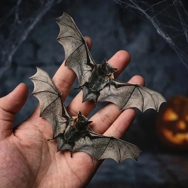 12/36Pack 3D Flying Bat Wall Stickers Realistic PVC Halloween Decorations Scary Bats for Window Door Home Party Spooky Supplies