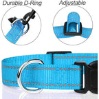 Reflective Dog Collar, Adjustable Nylon Safety Collar for Small Dogs