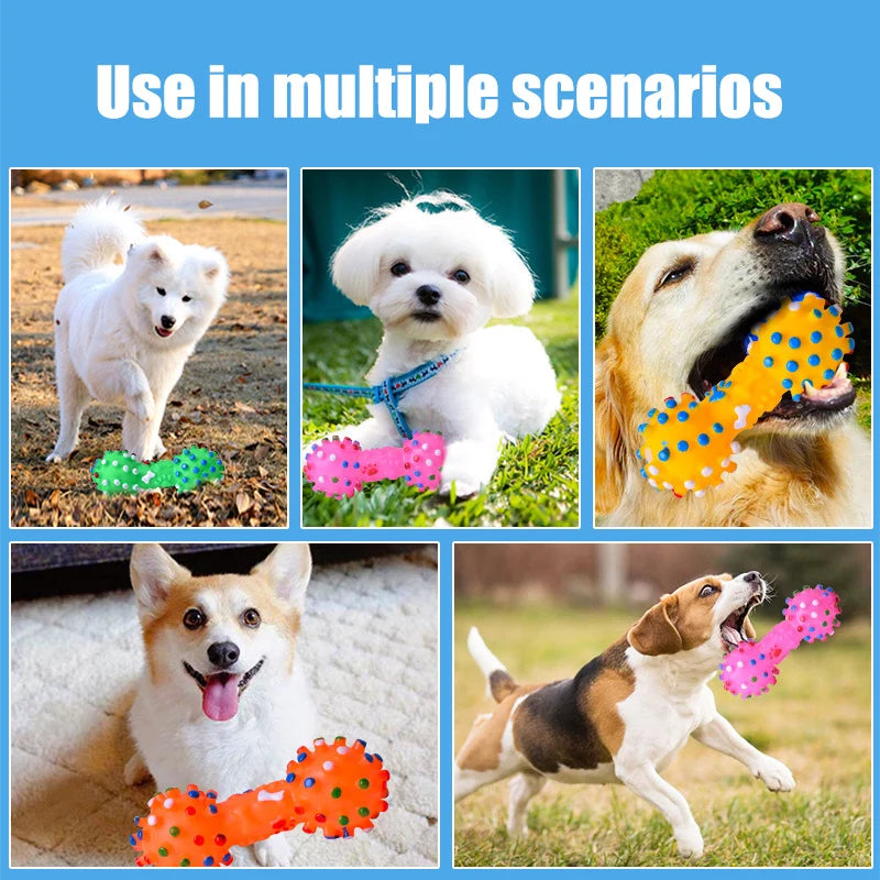 Dog Chew Toy – Natural Rubber Dental Teething Toy